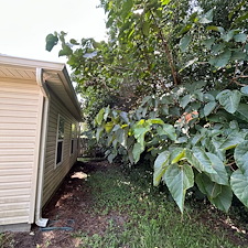 Reclaim-Your-Yard-Professional-Bush-Trimming-Removal 5